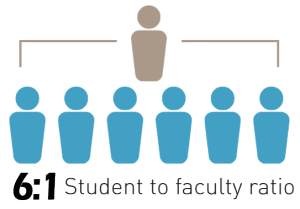 Faculty Ratio 6-1